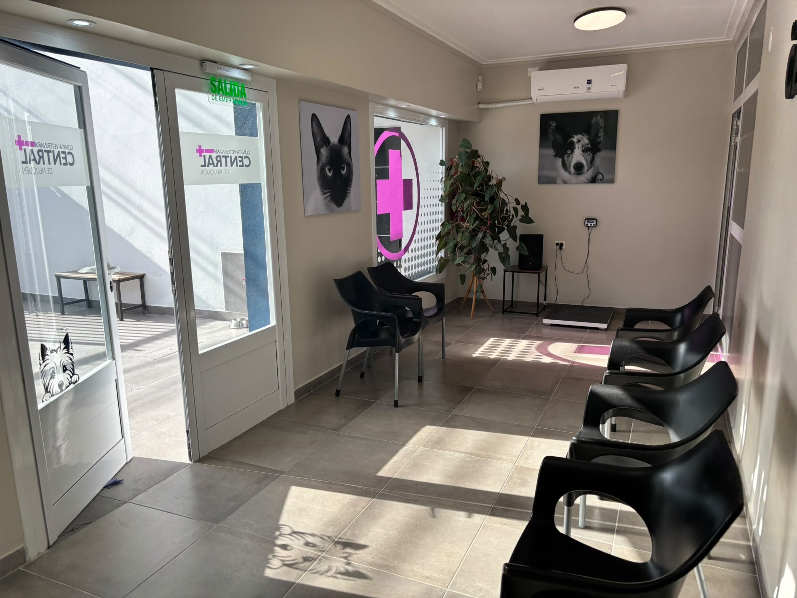 Sala de espera de Clínica Veterinaria Central de Neuquén