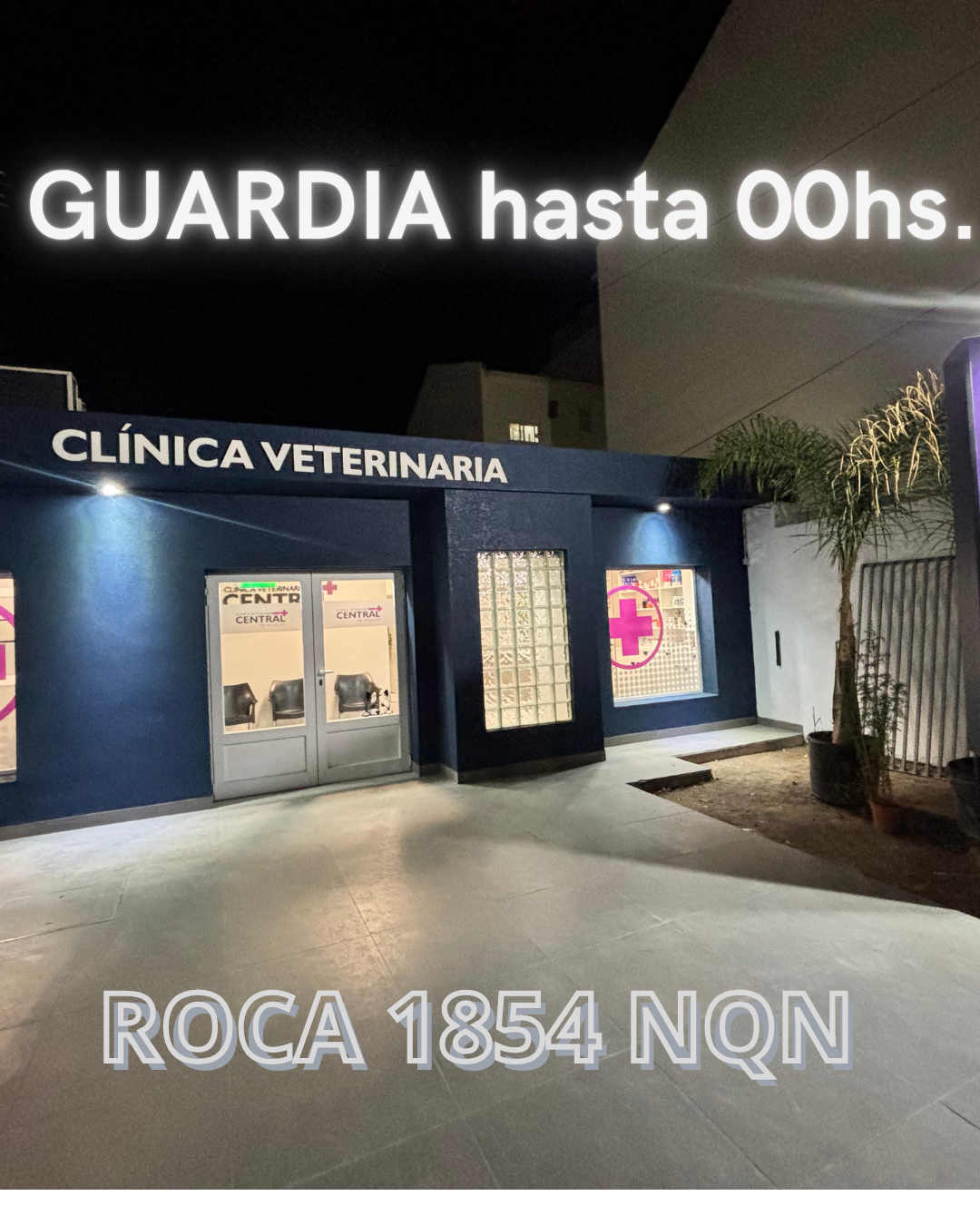 Clínica Veterinaria Central de Neuquén de noche, guardia activa